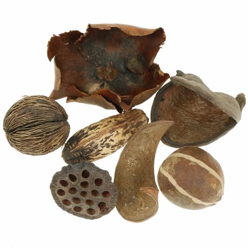 Floristik24 Egzotiškas asortimentas gamta tinkle 200g