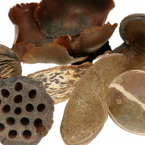 Floristik24 Egzotiškas asortimentas gamta tinkle 200g