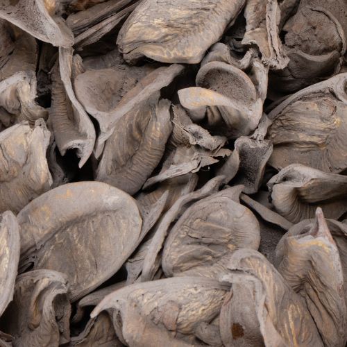 daiktų Potpuri stalo dekoracija su riešutais natūraliai vasaros atmosferai