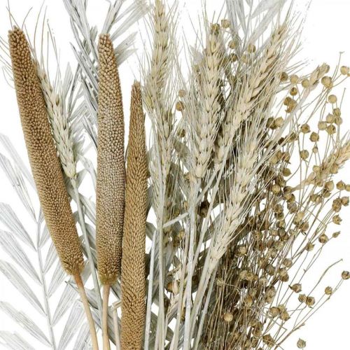 Floristik24 Džiovintos gėlės DIY Box Exotic Dry Bouquet White, Natural H55cm