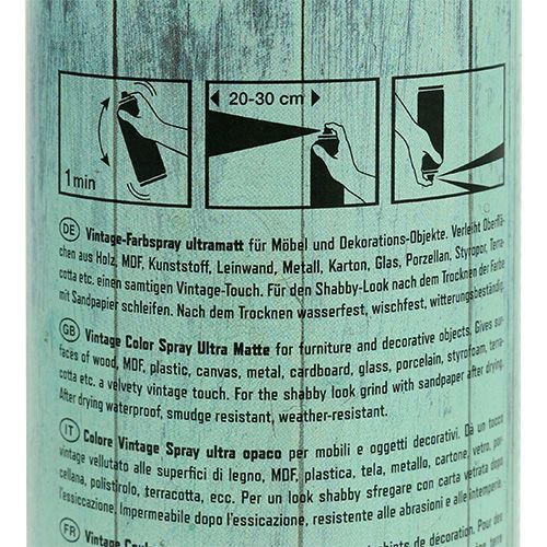 Floristik24 Color Spray Vintage Green 400ml