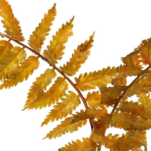 daiktų Dirbtinis papartis rudens spalvos 33cm 12 vnt