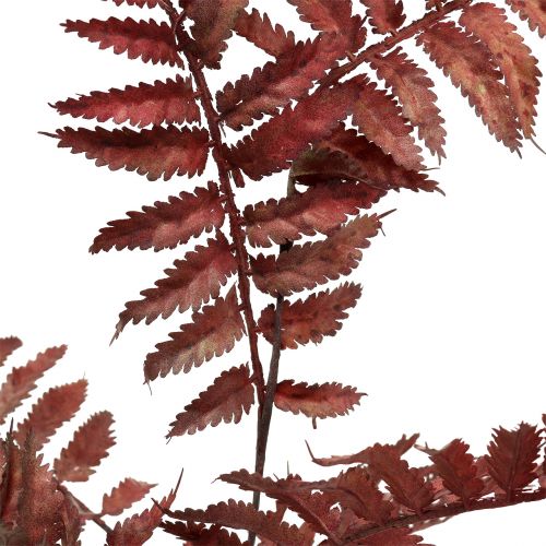 daiktų Dirbtinis papartis Tamsiai Rožinė 81cm Dirbtinis augalas kaip tikras!