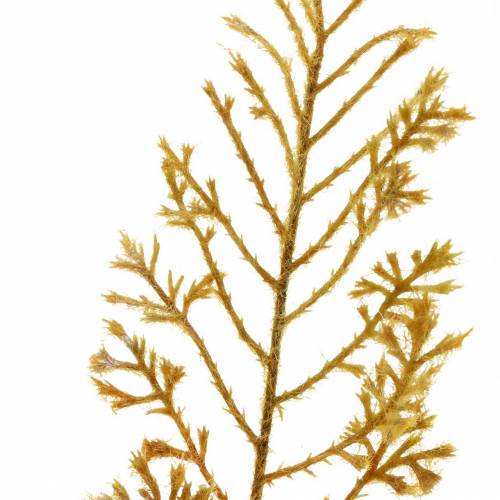 daiktų Dirbtinis papartis rudens spalvos 72cm 4 vnt