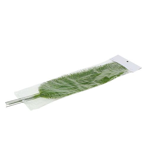 Floristik24 Paparčio lapai žali 59cm 6vnt