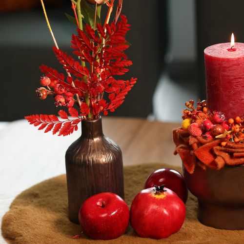 Konservuoti ir dažyti paparčio lapai, tikrasis papartis rudens kompozicijoms, 42 cm, 10 vnt. | Floristik24.lt