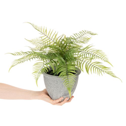 Dirbtinis papartis vazone svetainei ir biurui, 35 cm | Floristik24.lt