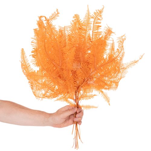 Paparčio šakelė, konservuotas papartis, džiovinta dekoracija kompozicijoms, 60 cm, 10 vnt. | Floristik24.lt