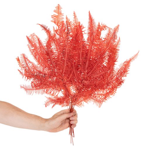Paparčiai, konservuotos džiovintos gėlės, rudens dekoracija, 60 cm, 10 vnt. | Floristik24.lt
