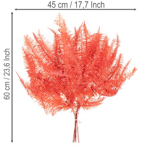 Paparčiai, konservuotos džiovintos gėlės, rudens dekoracija, 60 cm, 10 vnt. | Floristik24.lt