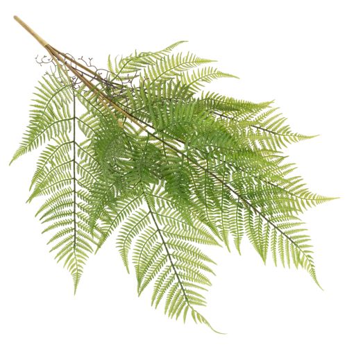 Dirbtinė paparčio šakelė, dekoratyvinis žalias augalas gėlių kompozicijoms, 80 cm | Floristik24.lt