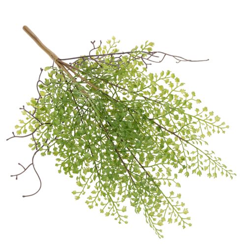 Dirbtinė žalia ruskuso šakelė gėlių dekoravimui, 41 cm | Floristik24.lt
