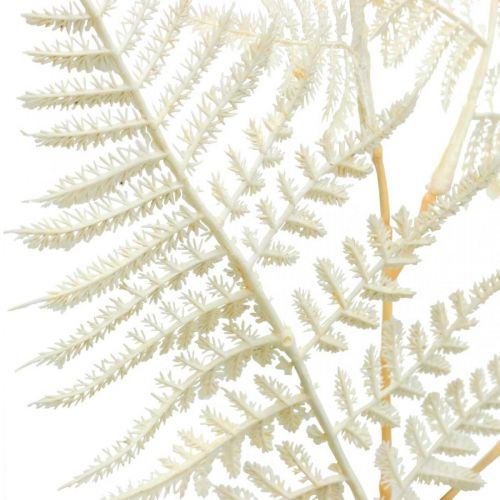 Floristik24 Dekoratyvinis lapinis papartis, dirbtinis augalas, paparčio šakelė, dekoratyvinis paparčio lapas baltas L59cm