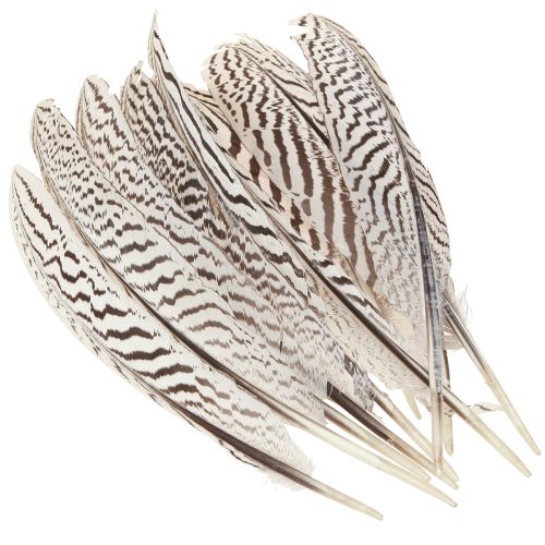 daiktų Fazano plunksnos rankdarbiams rudos smėlio spalvos natural 20cm 20vnt