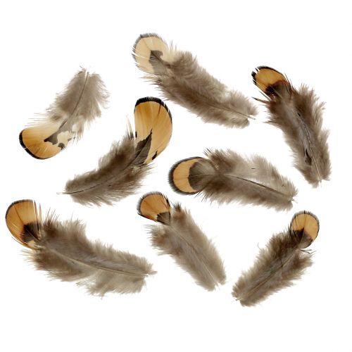 Floristik24 Natūralus plunksnų mišinys 12g