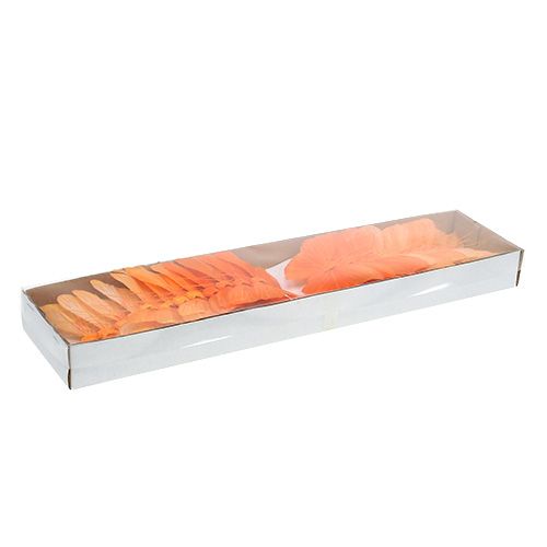 Floristik24 Plunksninis drugelis 8cm oranžinis 24vnt