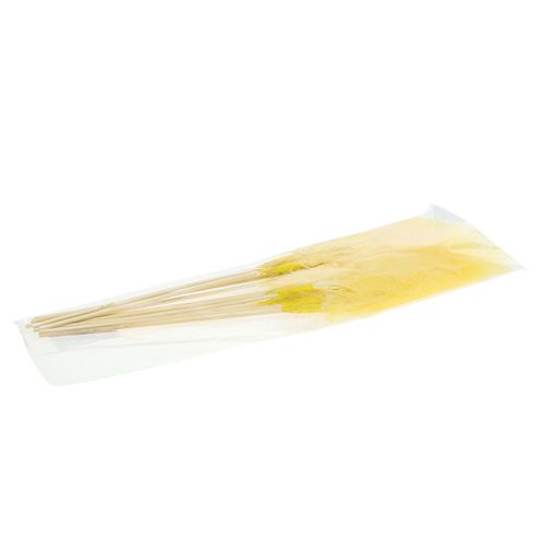 Floristik24 Spyruoklė ant pagaliuko L 30cm Geltona 12vnt