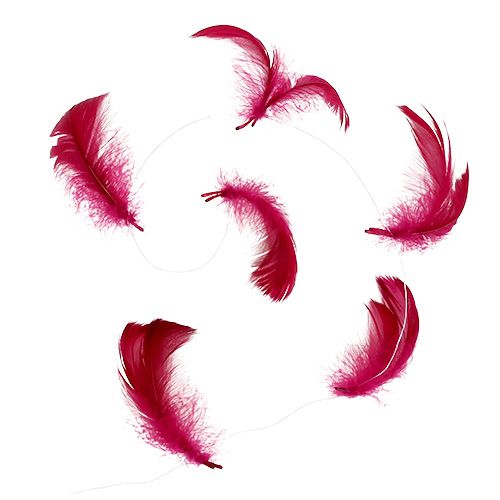 Floristik24 Spyruoklė ant vielos Erika 10m