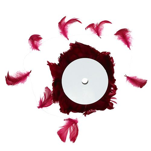 Floristik24 Spyruoklė ant vielos Erika 10m