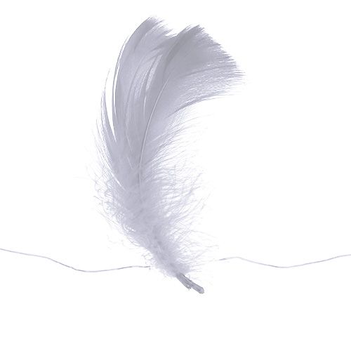 Floristik24 Spyruoklė ant vielos Balta 10m