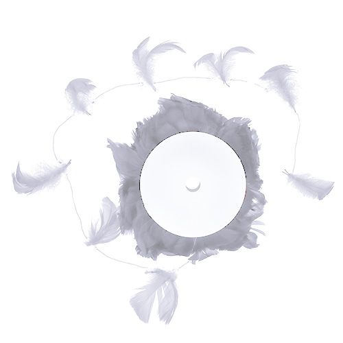 Floristik24 Spyruoklė ant vielos Balta 10m