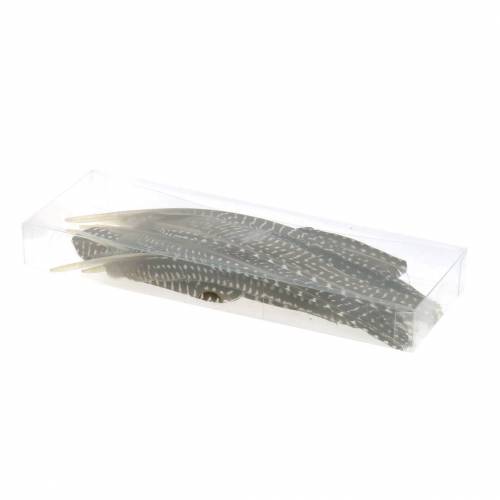 Floristik24 Natūralios plunksnos 18 - 24cm 10g