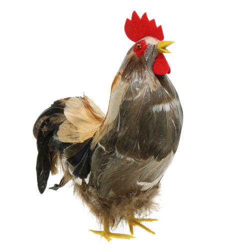 Floristik24 Velykų puošmena gaidys ir višta su plunksnomis natural H26cm rinkinys 2 vnt