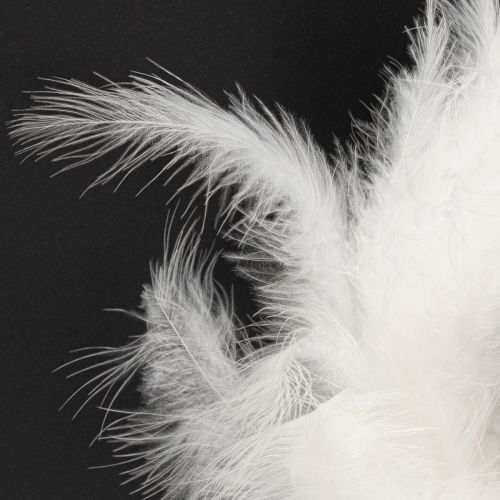 daiktų Plunksnų vainikas, idealiai tinkantis vestuvių dekoravimui ir atmosferinei Velykų dekoracijai, 20 cm