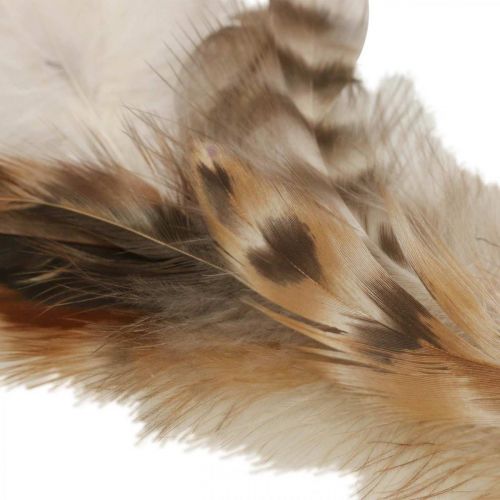 Vainikas iš plunksnų deko plunksnos gamta Velykų puošmena Ø15cm 4vnt