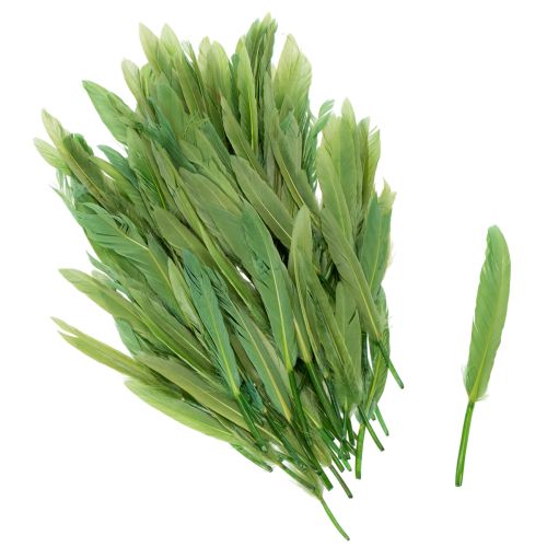 Dekoratyvinės plunksnos stilingai atmosferai ir įspūdingoms dekoracijoms 10 cm