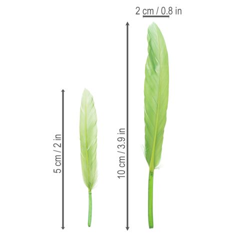 daiktų Dekoratyvinės plunksnos stilingai atmosferai ir įspūdingoms dekoracijoms 10 cm