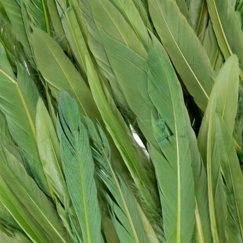 daiktų Dekoratyvinės plunksnos stilingai atmosferai ir įspūdingoms dekoracijoms 10 cm