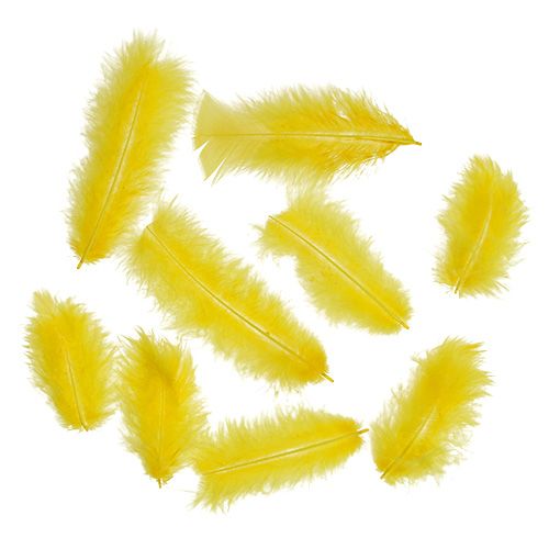 Trumpos plunksnos 30g aukso geltonumo