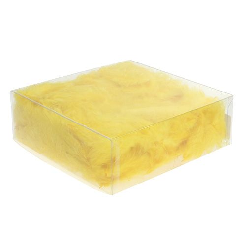 Floristik24 Trumpos plunksnos 30g aukso geltonumo