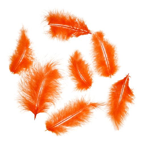 daiktų Trumpos plunksnos 30g oranžinės spalvos
