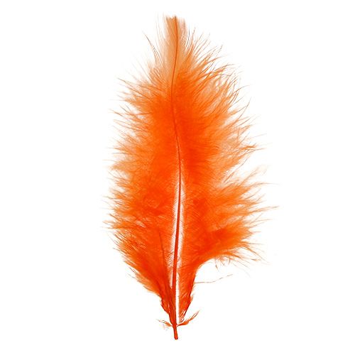 daiktų Trumpos plunksnos 30g oranžinės spalvos