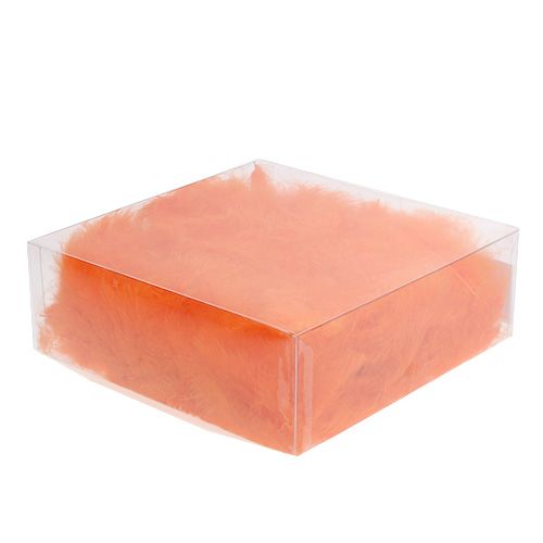 daiktų Plunksnos trumpos 30g Oranžinės