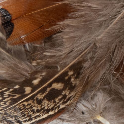 daiktų Plunksnos įvairioms rankdarbių idėjoms, kūrybiškam dizainui ir dekoravimui, 5 cm, 3 g