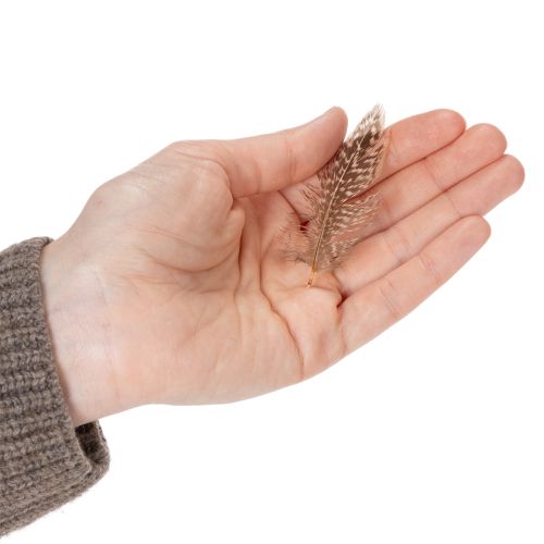 daiktų Plunksnos įvairioms rankdarbių idėjoms, kūrybiškam dizainui ir dekoravimui, 5 cm, 3 g