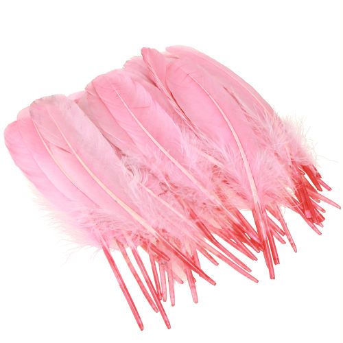 daiktų Plunksnos rankdarbiams Rožinės žąsies plunksnos 18cm - 20cm 20g x 2vnt