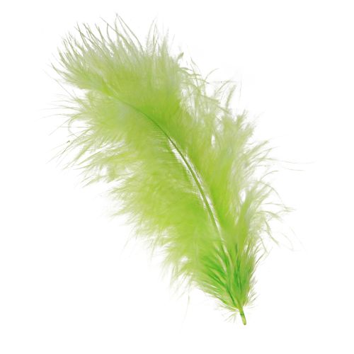 Floristik24 Šviesiai žalios spalvos plunksnų dekoravimo plunksnos 5-10cm 20g