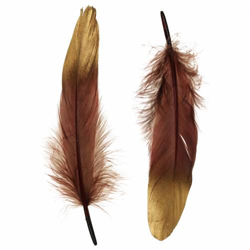 Floristik24 Plunksnos bordo, auksinės 18-23cm 24 vnt