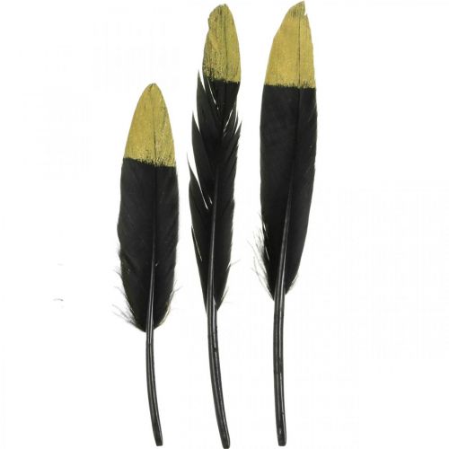 daiktų Dekoratyvinės plunksnos juodos, auksinės tikros plunksnos rankdarbiams 12-14cm 72vnt