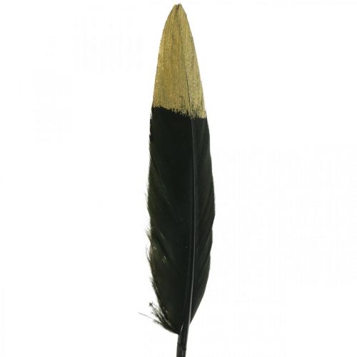 daiktų Dekoratyvinės plunksnos juodos, auksinės tikros plunksnos rankdarbiams 12-14cm 72vnt