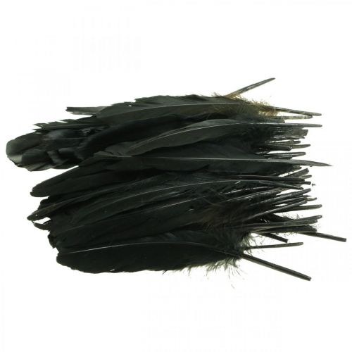 daiktų Deco plunksnos juodos paukščių plunksnos rankdarbiams 14-17cm 20g