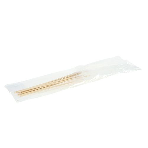 Floristik24 Plunksnos klijuoti baltos L35cm 12vnt