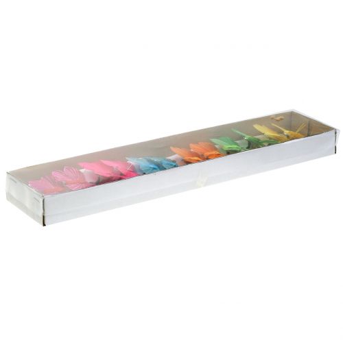 Floristik24 Spalvingas plunksnos drugelis ant segtuko 6cm 12vnt
