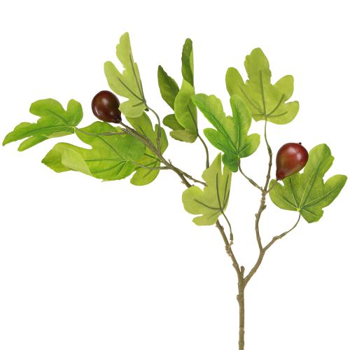 Floristik24 Figos šakelė, dekoratyvinė šakelė, dekoratyvinis vaisius, figos puošmena, 64 cm, 2 vnt