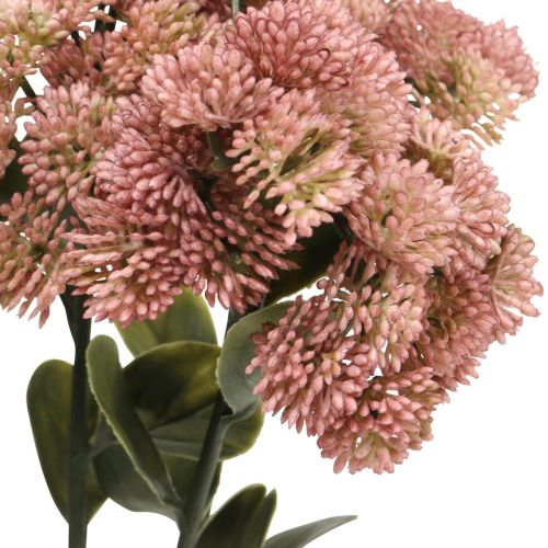 Floristik24 Akmeninės rožinės spalvos sedum stonecrop dirbtinės gėlės H48cm 4vnt