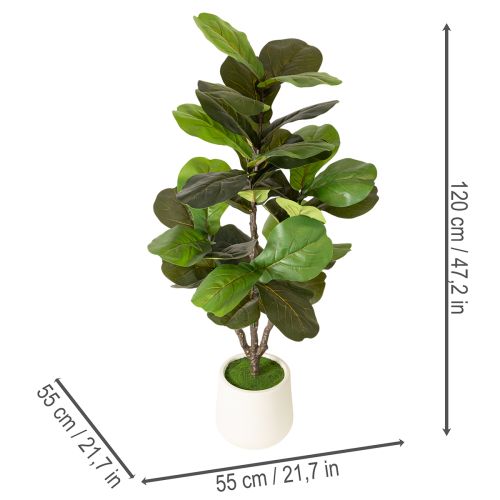 Dirbtinis fikusas (Ficus lyrata) 120 cm, dekoratyvinis augalas svetainei | Floristik24.lt